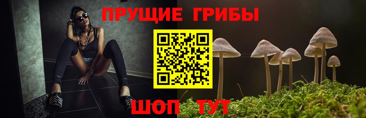 Псилоцибиновые грибы Cubensis  Вход с VPN  Волжский 